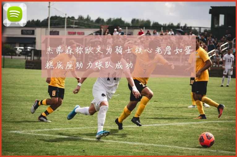 杰弗森称欧文为骑士核心老詹如蛋糕底座助力球队成功
