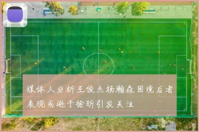 媒体人分析王俊杰杨瀚森困境后者表现或逊于徐昕引发关注
